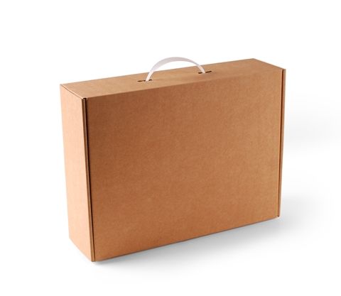 Caja maletín con asa plástica