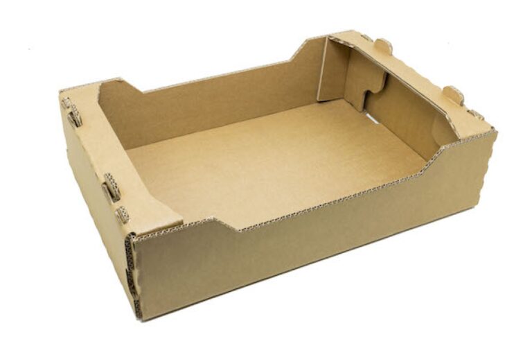 cajas-para-frutas